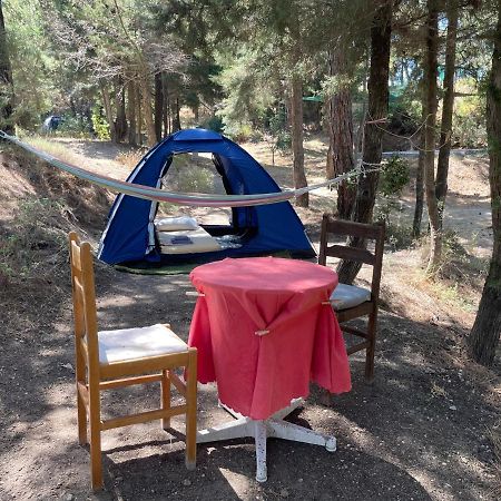 Drolma Ling Nature Cabins Theológos Екстериор снимка