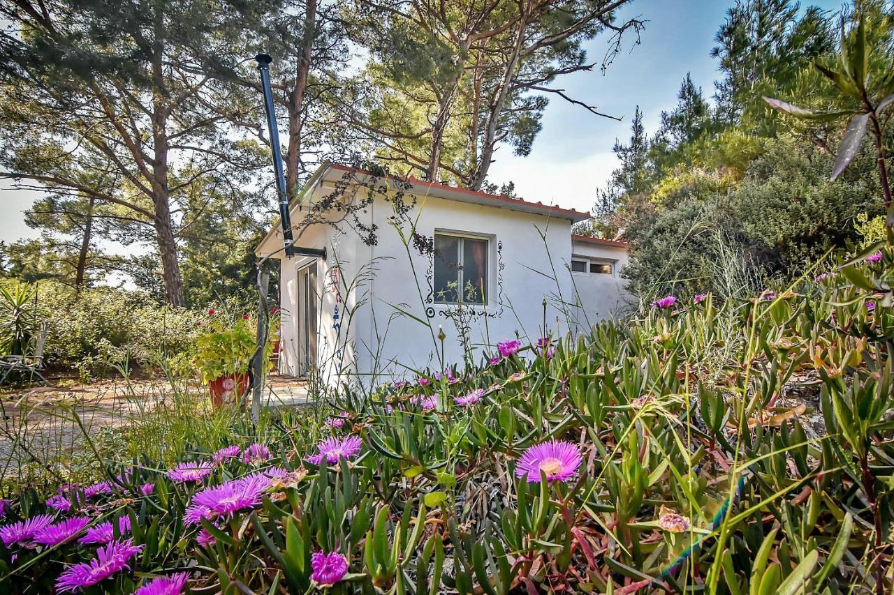 Drolma Ling Nature Cabins Theológos Екстериор снимка