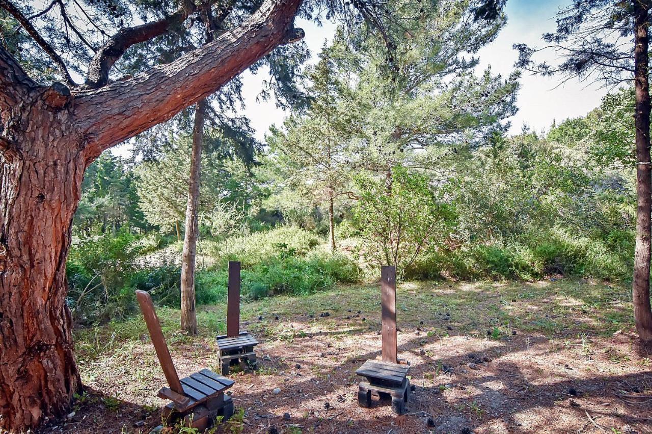 Drolma Ling Nature Cabins Theológos Екстериор снимка