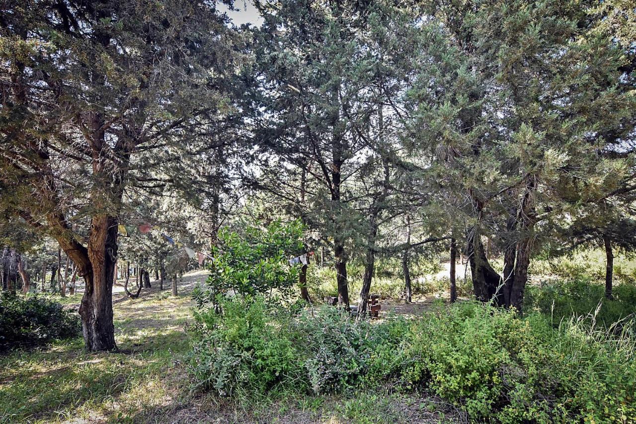 Drolma Ling Nature Cabins Theológos Екстериор снимка