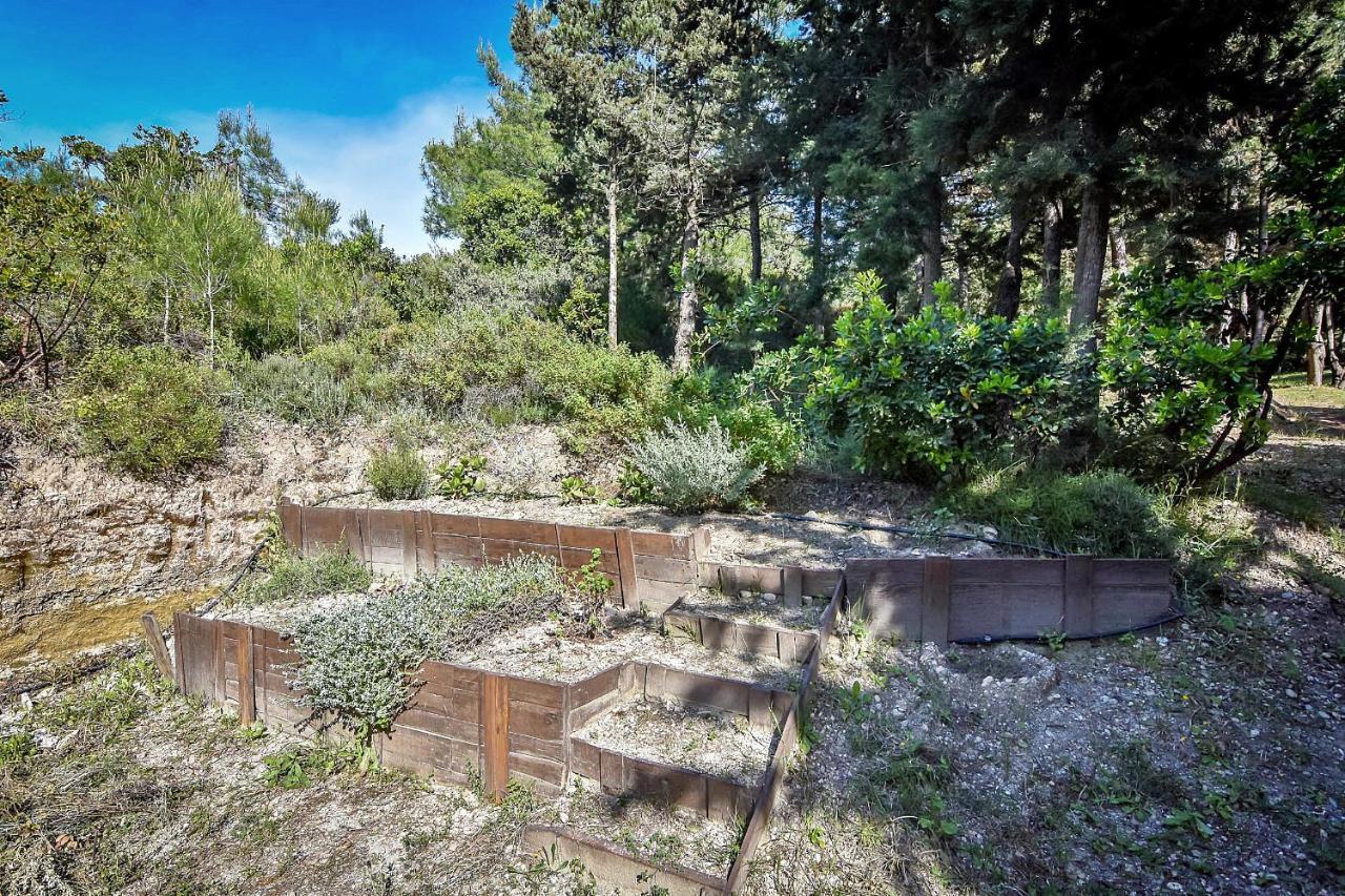 Drolma Ling Nature Cabins Theológos Екстериор снимка