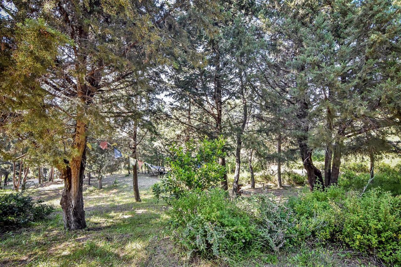 Drolma Ling Nature Cabins Theológos Екстериор снимка