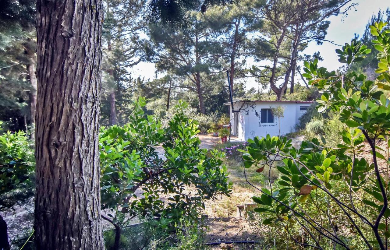 Drolma Ling Nature Cabins Theológos Екстериор снимка