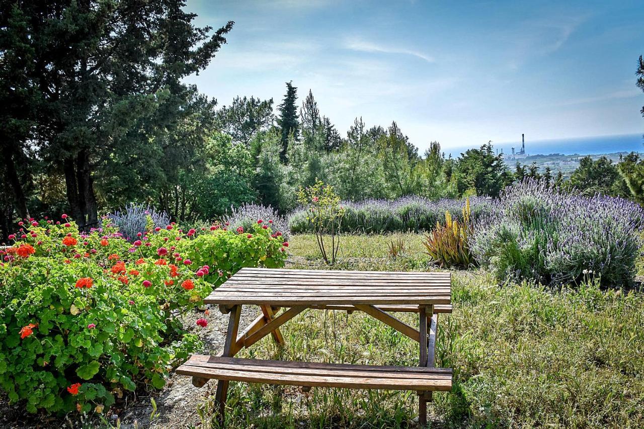 Drolma Ling Nature Cabins Theológos Екстериор снимка