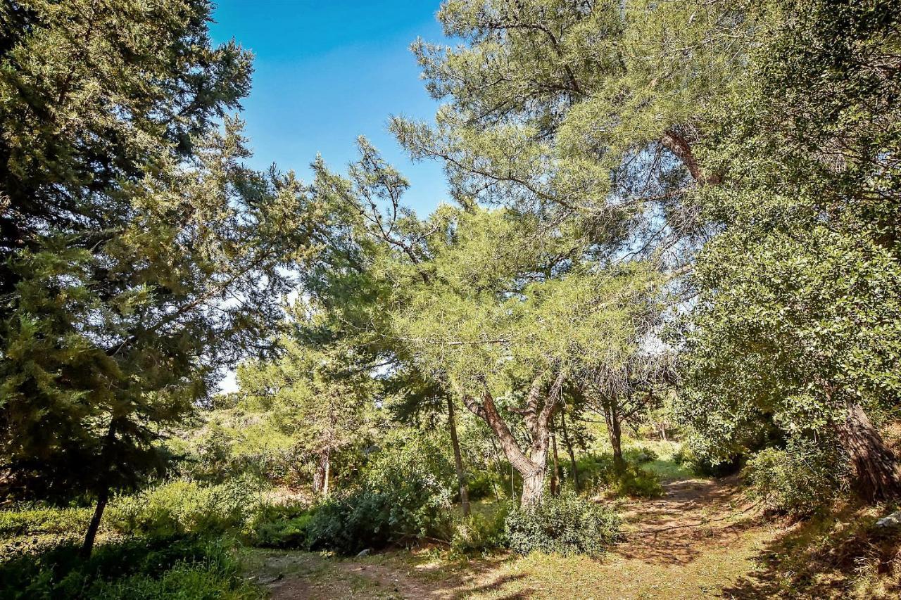 Drolma Ling Nature Cabins Theológos Екстериор снимка
