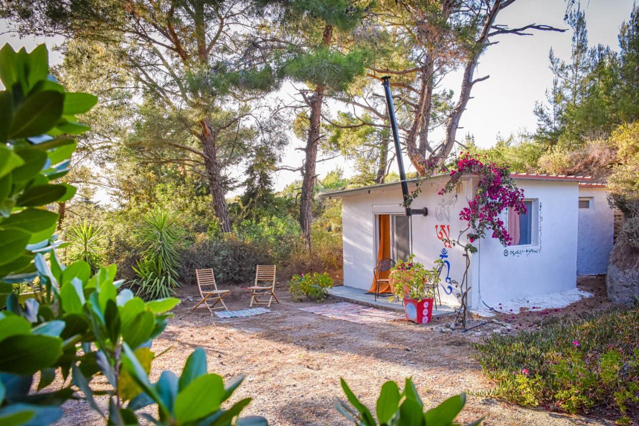 Drolma Ling Nature Cabins Theológos Екстериор снимка
