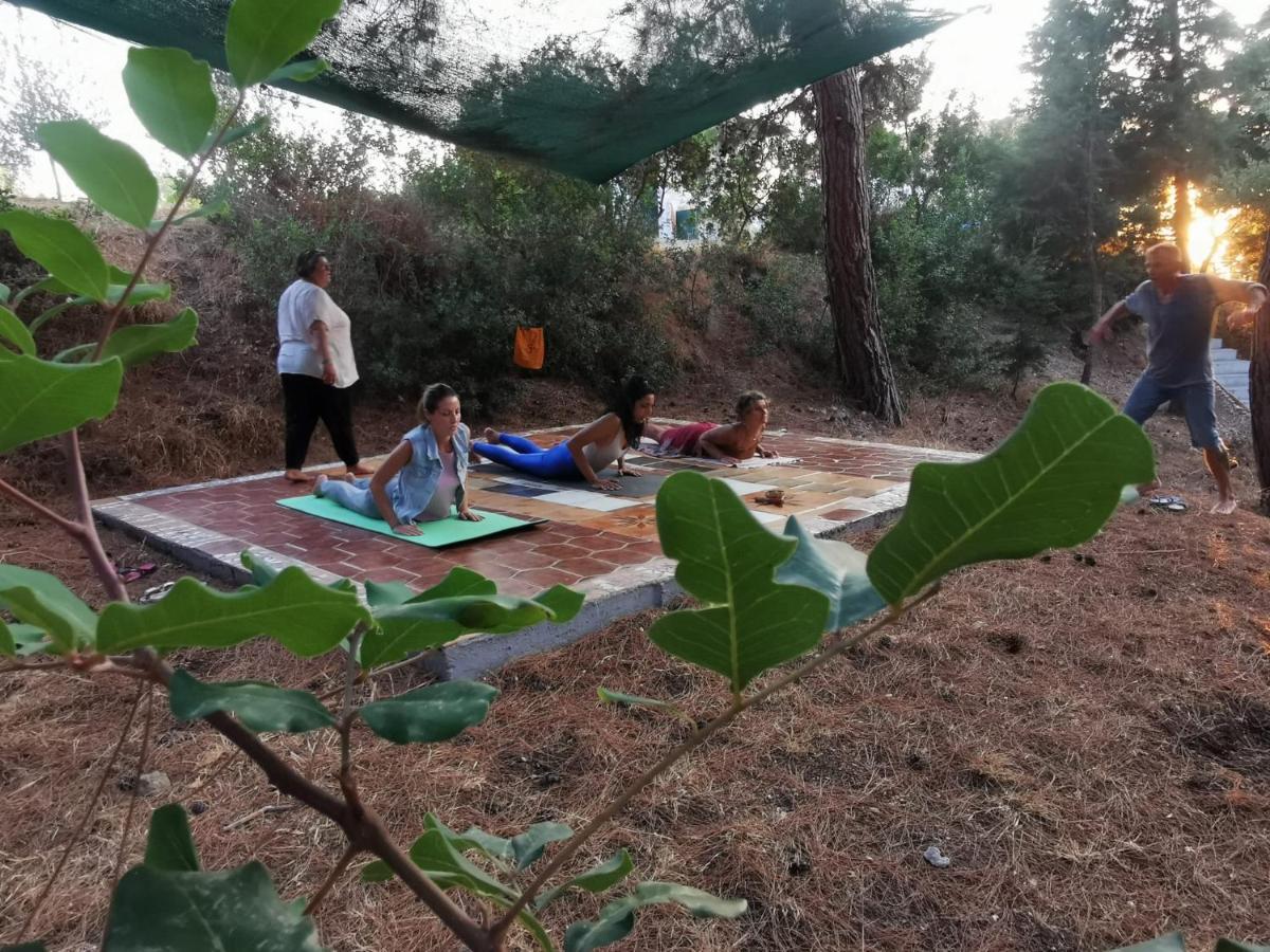 Drolma Ling Nature Cabins Theológos Екстериор снимка