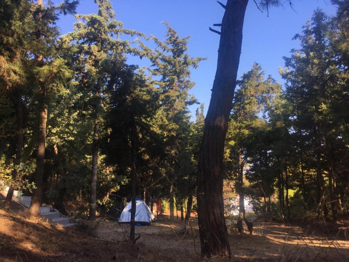 Drolma Ling Nature Cabins Theológos Екстериор снимка
