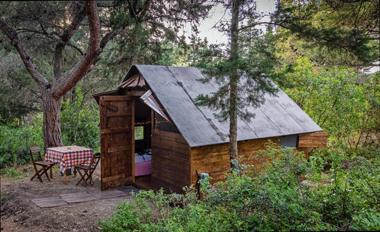 Drolma Ling Nature Cabins Theológos Екстериор снимка