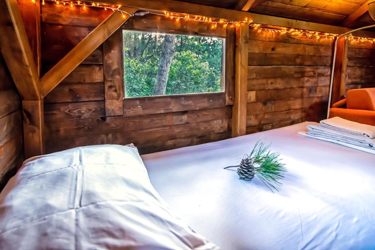 Drolma Ling Nature Cabins Theológos Екстериор снимка