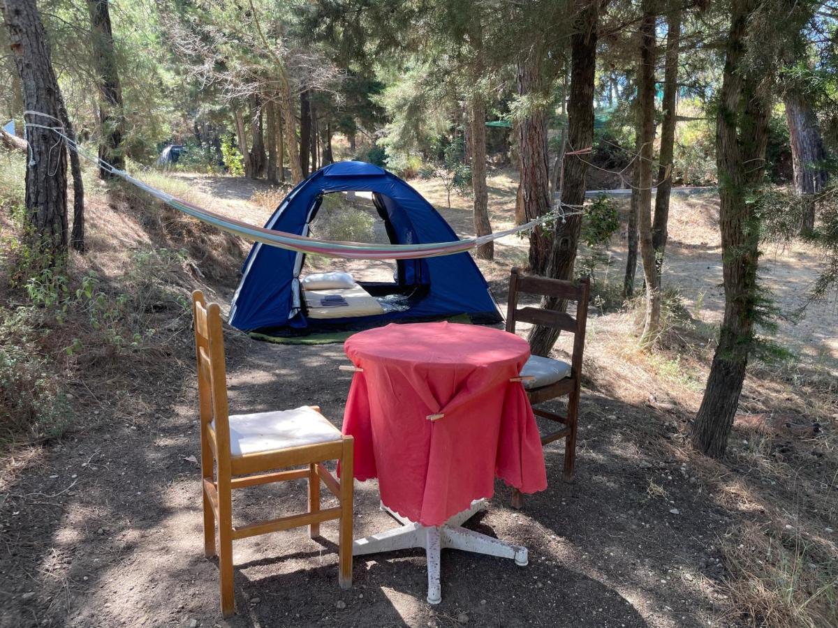 Drolma Ling Nature Cabins Theológos Екстериор снимка