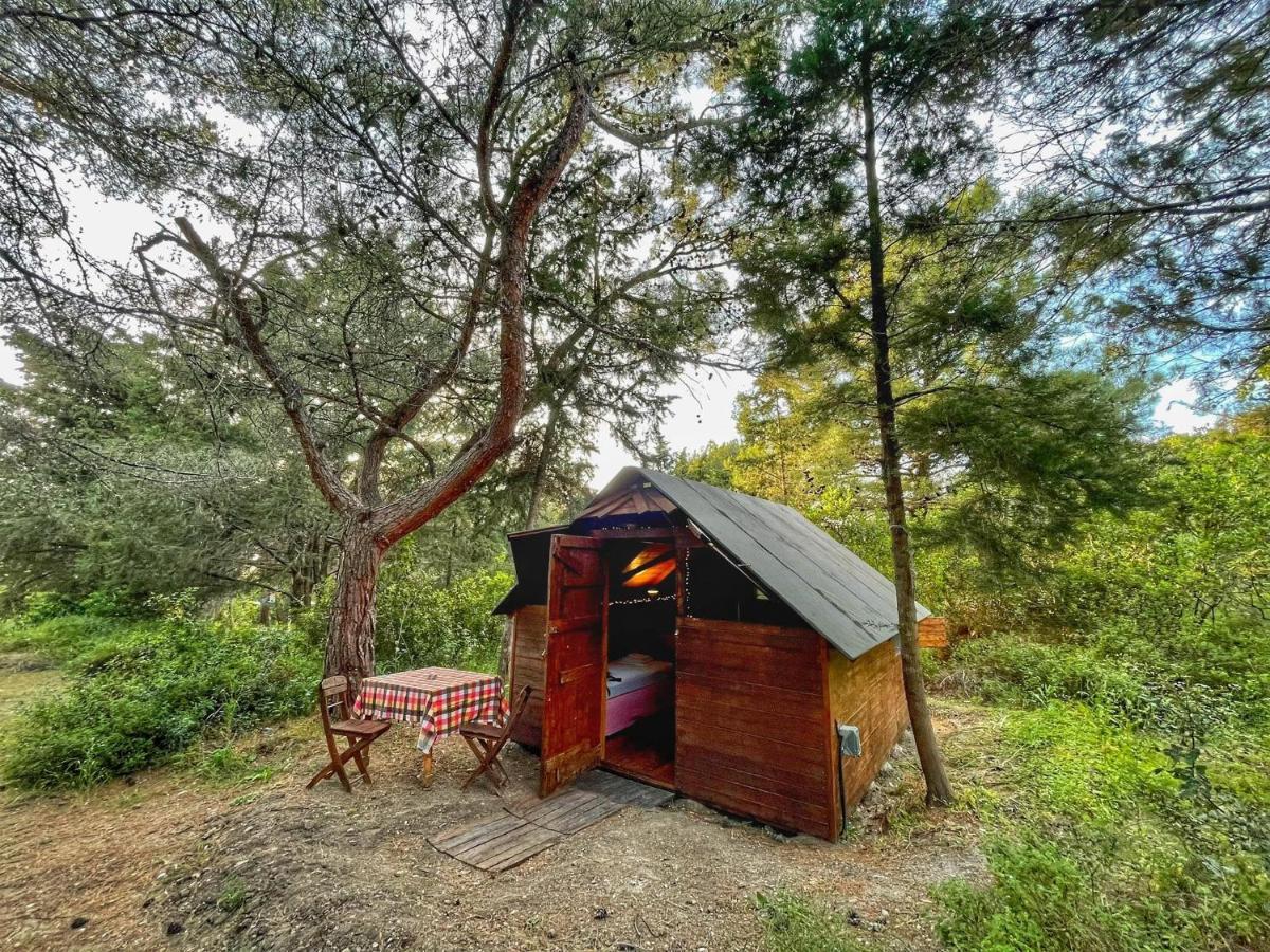Drolma Ling Nature Cabins Theológos Екстериор снимка