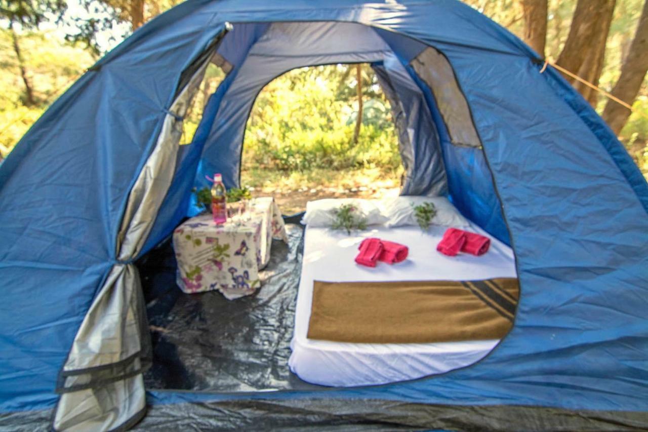 Drolma Ling Nature Cabins Theológos Екстериор снимка