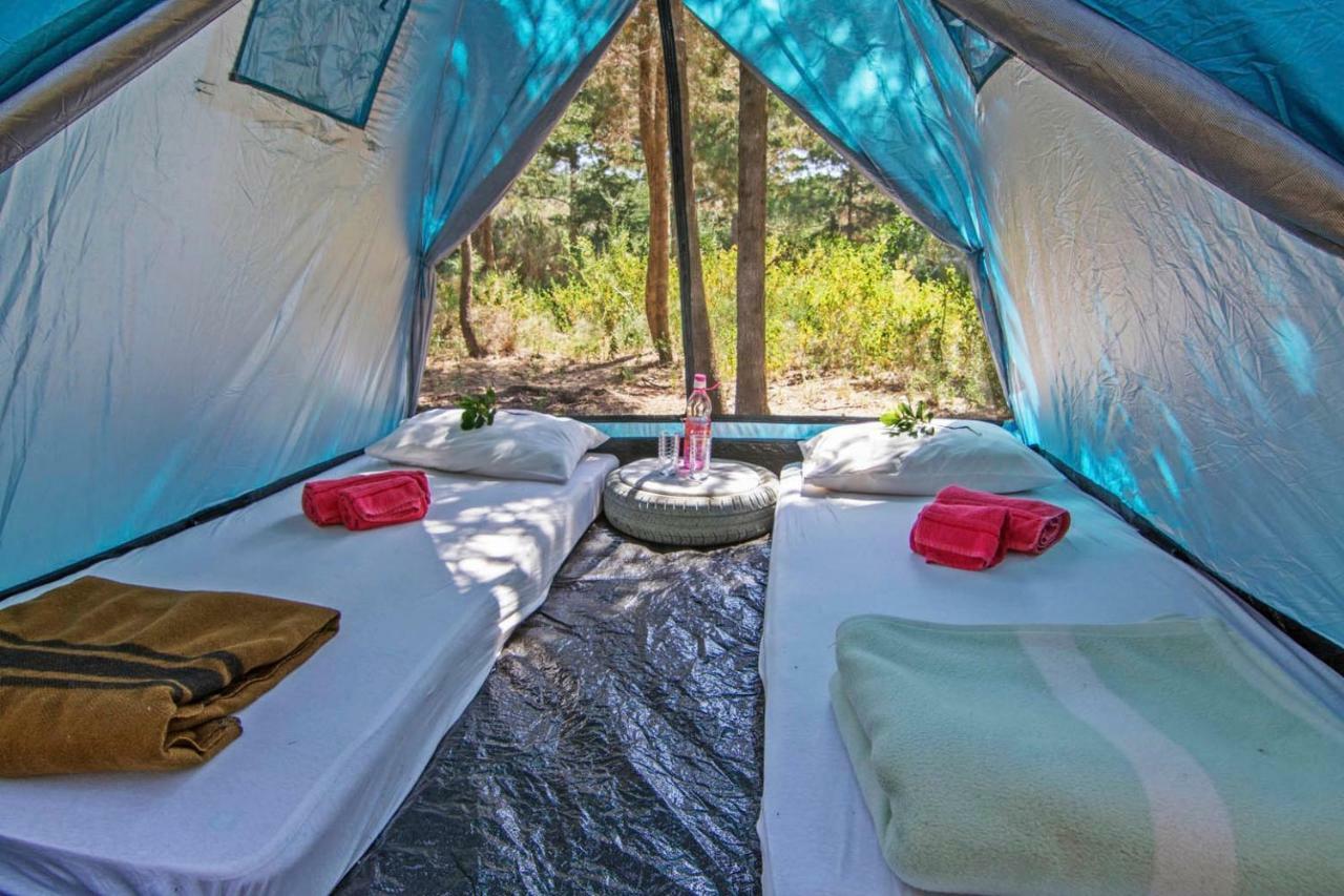 Drolma Ling Nature Cabins Theológos Екстериор снимка