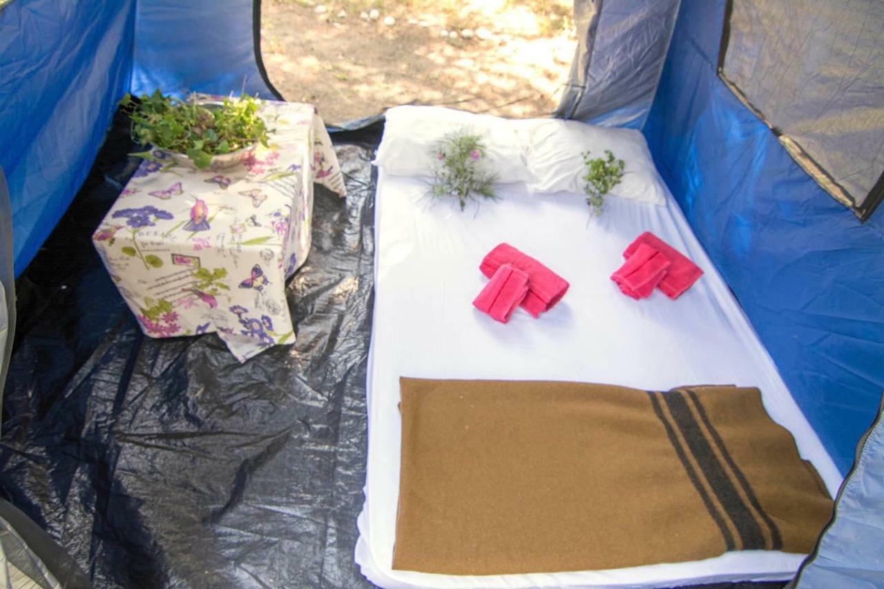 Drolma Ling Nature Cabins Theológos Екстериор снимка