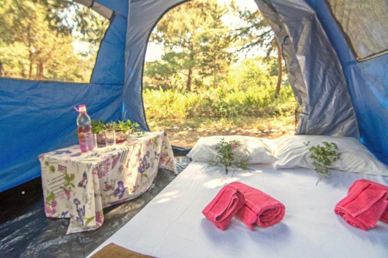 Drolma Ling Nature Cabins Theológos Екстериор снимка