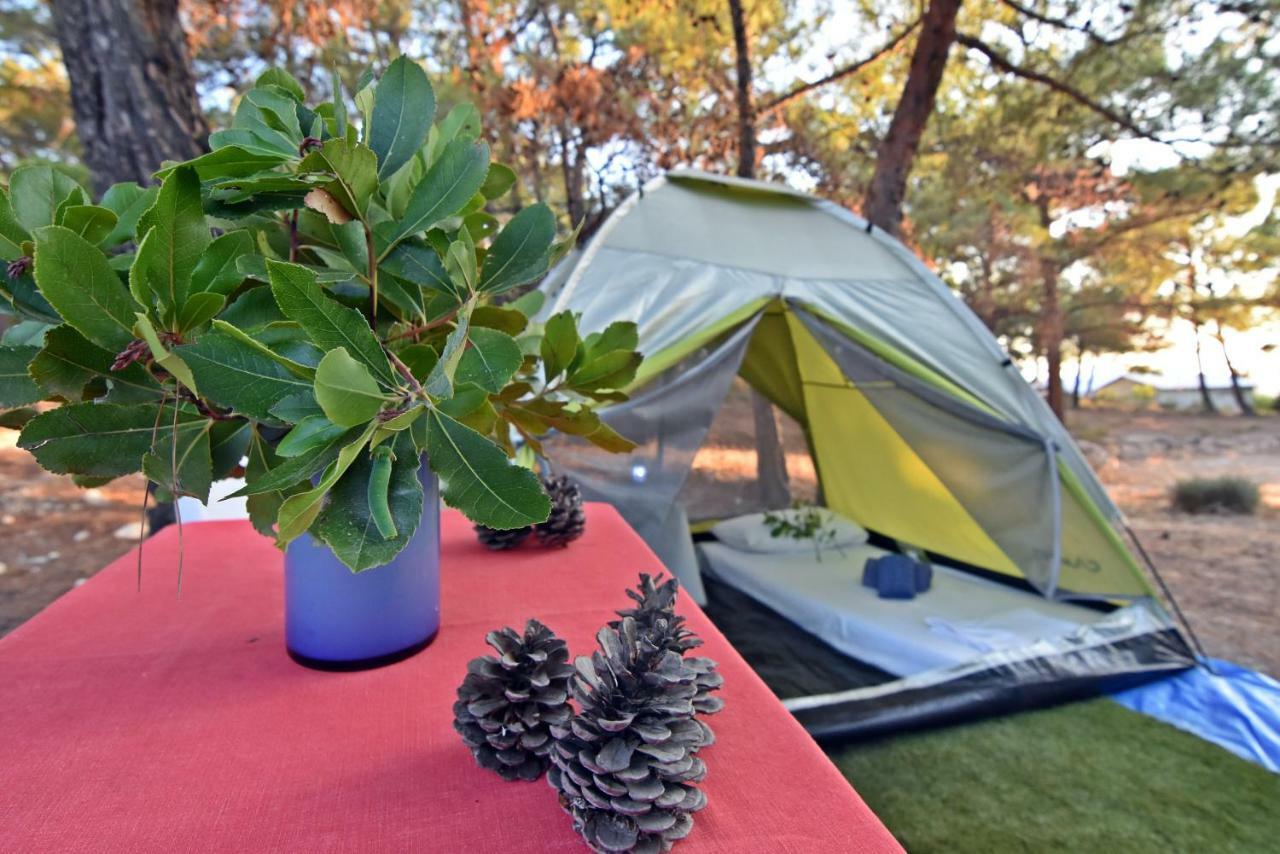 Drolma Ling Nature Cabins Theológos Екстериор снимка