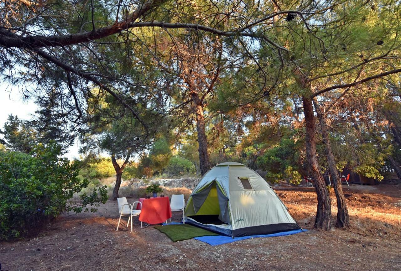 Drolma Ling Nature Cabins Theológos Екстериор снимка